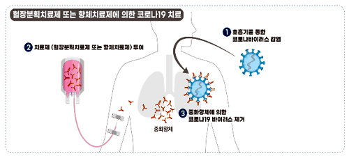식약처, 코로나 혈장치료제 임상승인 전 사전상담 진행