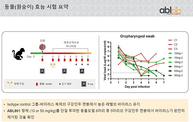 ABL바이오 "코로나19 치료제 내년 7월 상업화 목표"