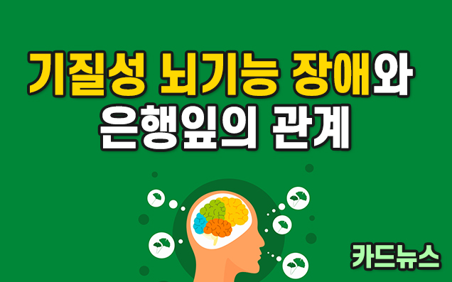 기질성 뇌기능 장애와 은행잎의 관계