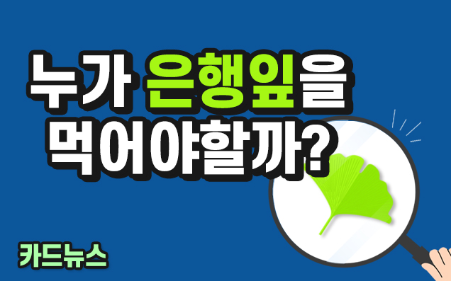 효능효과 검증된 일반약 은행잎제제 권하세요