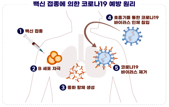 SK바이오사이언스 개발 코로나19 백신 임상1상 승인