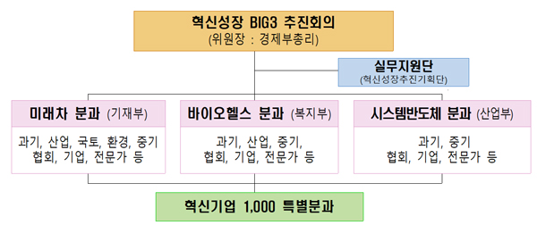 홍 부총리 "바이오헬스 등 '빅 3사업' 집중 육성"