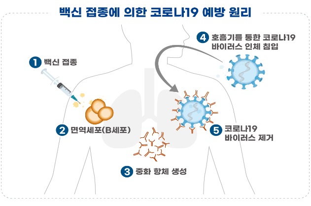 AZ백신 바이러스는 침팬지만 감염…시노팜은 '불활화'