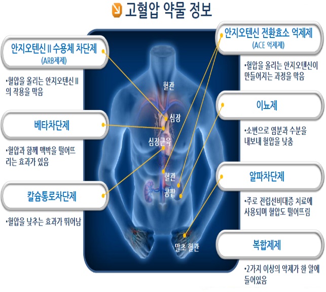 이뇨제는 칼륨 섭취 권장…암로디핀은 자몽주스 피해야