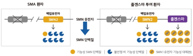식약처, 초고가신약 '졸겐스마' 허가…2호 첨단바이오약
