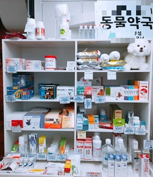 강원지역 동물약국·병원 등 29일까지 약사감시