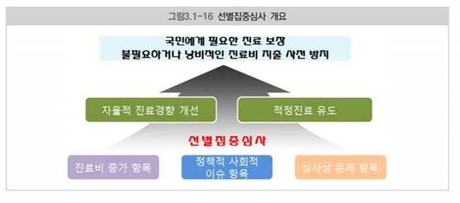 '콜린' 청구량 선별집중심사 항목 선정, 3분기부터 본격