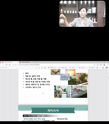 노원구약, 살충제·살균제 주제로 게릴라 온라인 강의