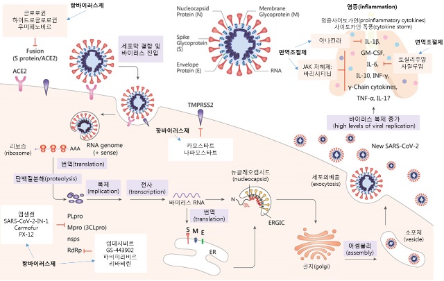 코로나19 치료제 임상시험 계획 시 고려사항은?