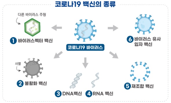 식약처, 아이진 mRNA 방식 코로나19 백신 1·2a상 승인