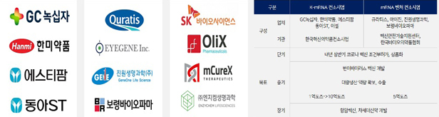 국내기업 mRNA백신 개발 가속...2개 컨소시엄 주목