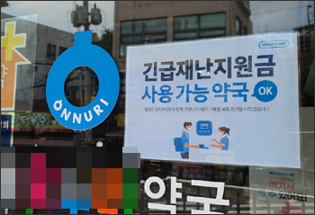 상위 12% 경기 약사 국민지원금 지급...충남은 11월 예정 
