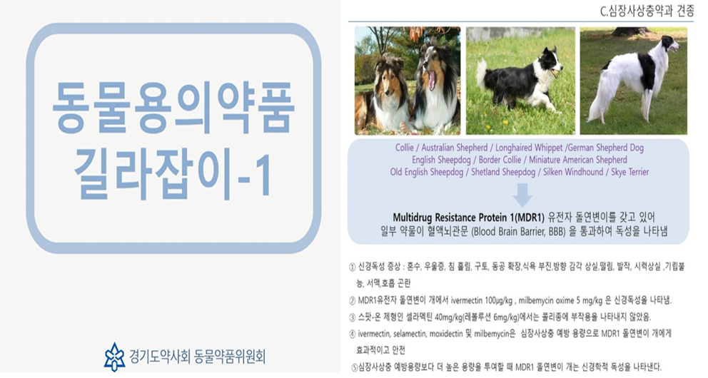경기도약, 동물의약품 교육영상 8편 추가 공개 