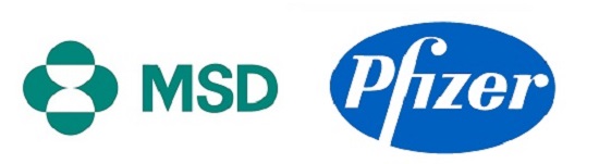 MSD 이어 화이자도…경구용 코로나 치료제 상용화 '성큼'