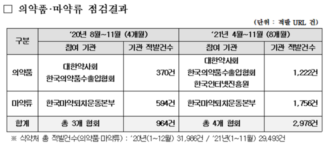 민관 합동 온라인 의약품 점검, 총 2978건 접속차단 