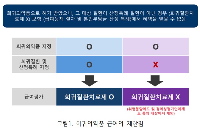 "희귀약·산정특례제도 엇박자…보장성 확대 치명타"