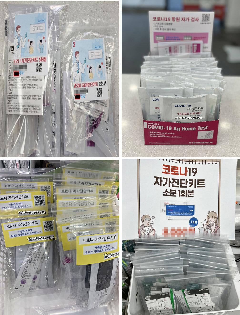오늘부터 키트 반품...약국들 보유 물량 대부분 소진