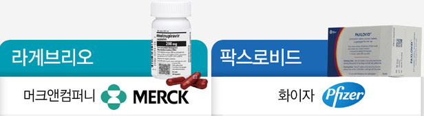 약국 없는 섬 지역...공보의, 코로나 치료제 직접조제