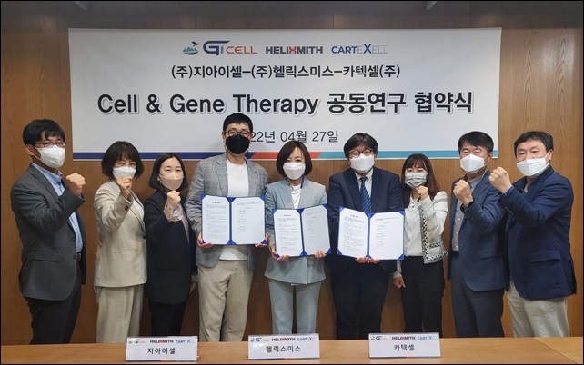 지아이셀, 헬릭스미스·카텍셀과 세포치료제 공동연구 