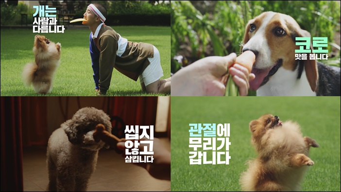 유한양행 사료 브랜드 '윌로펫' TV CF 온에어
