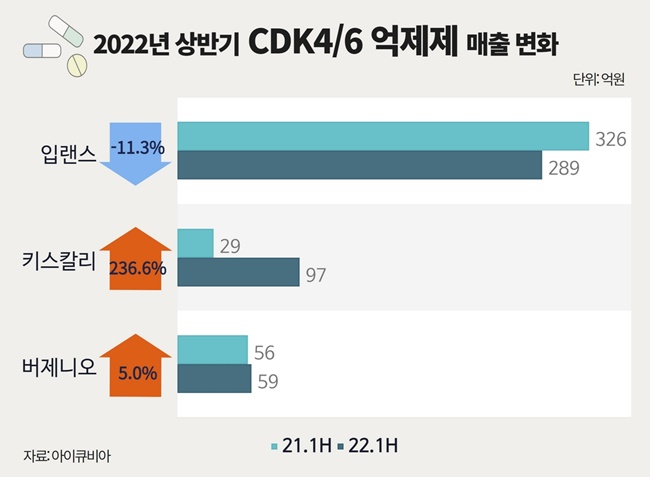 키스칼리 껑충, 입랜스 주춤...차세대 유방암치료제 요동