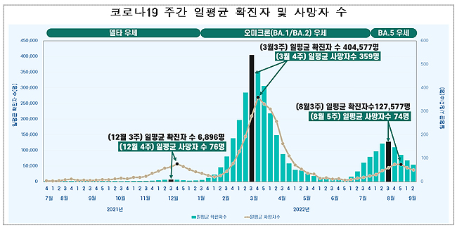 코로나 경구약 60세 이상 6.4% 투여…중증화율 0.42%