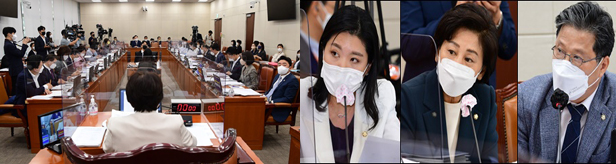 '비대면 진료·플랫폼' 부작용 대책 방점 찍은 복지부 국감