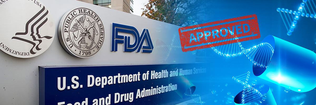 올해 FDA 허가 신약 급감...BMS·사노피·로슈 맹활약