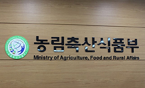 동물의료 개선책 10월 발표...1만개 동물약국 대책은?
