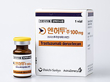 엔허투, 보완자료로 암질심 재논의…급여속도 붙을까
