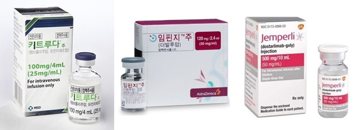 사망 위험 40%↓...면역항암제, 부인암 치료 존재감 과시