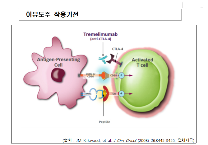 AZ 간세포암 신약 '이뮤도주' 국내 품목허가 획득