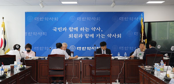 대약 감사단 "한약사·상비약 문제 해결을"…회무 감사