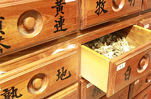 "약국 한약도 급여를"…약사회, 한방제약사 의견 수렴
