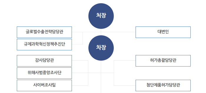 식약처, 글로벌수출전략담당관 신설...식의약 수출 지원 강화