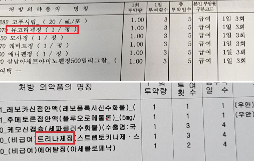 스트렙토 품절 장기화…브로멜라인까지 연쇄 품절