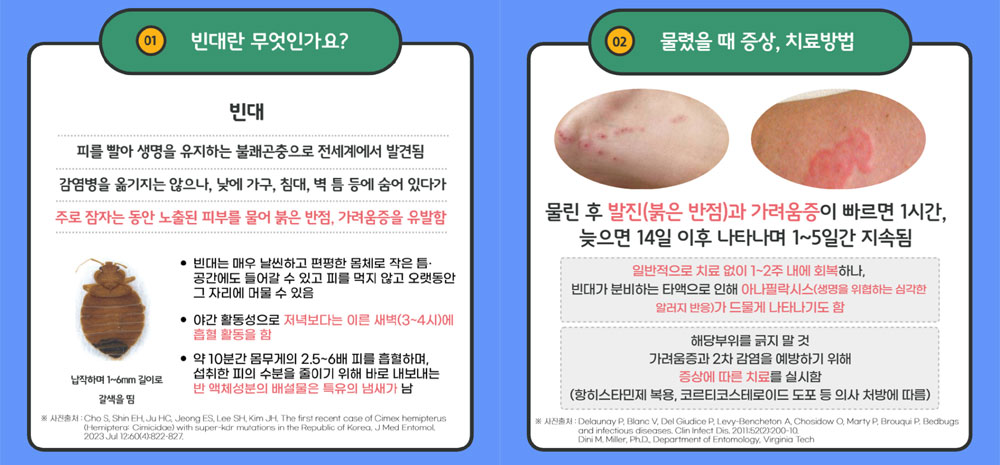 빈대공포 확산에 약사가 소개하는 퇴치·대처법 A to Z