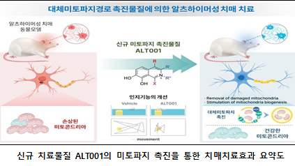 국내 연구진, 알츠하이머성 치매 치료 신물질 최초 개발 