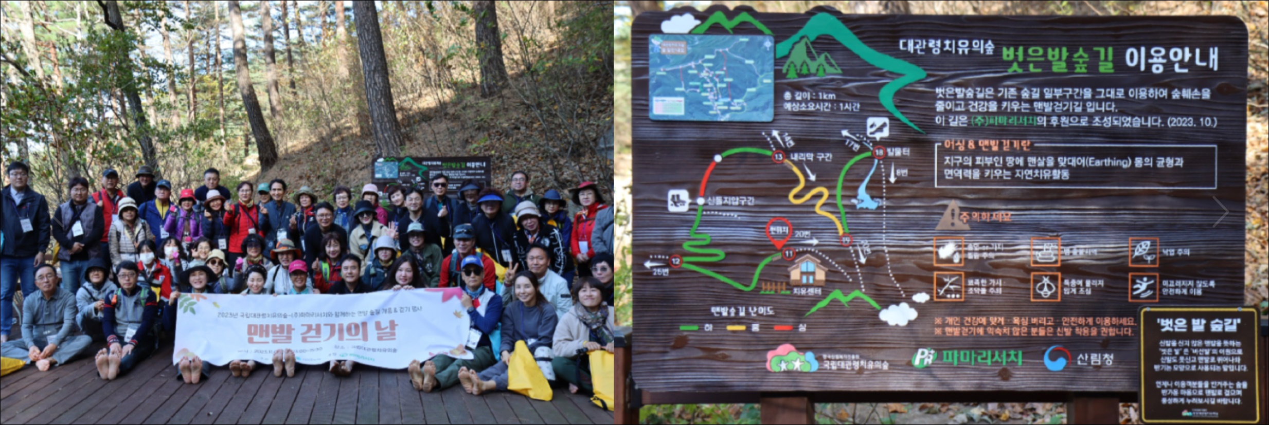 ﻿파마리서치문화재단, 대관령 치유의 숲 조성 지원