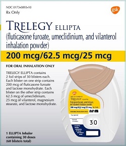 GSK 천식 3제 '트렐리지200엘립타' 공단 협상 완료