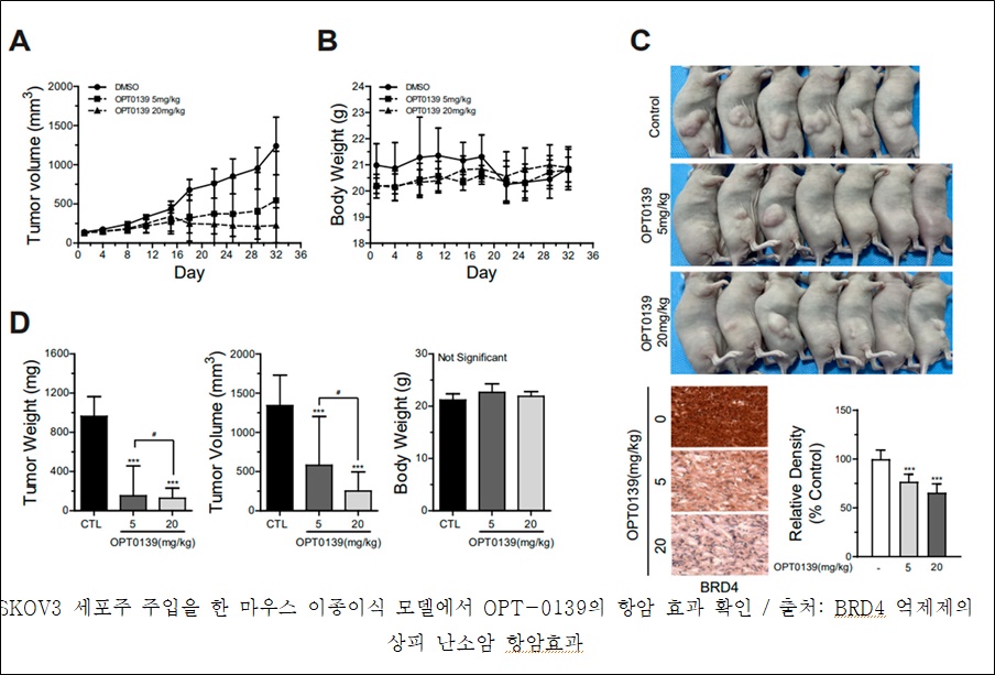 "제이비케이랩 신약물질, 난소암 전이 단백질 억제"