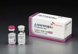 "수두백신 '스카이바리셀라주' 안전…면역저하자는 주의"