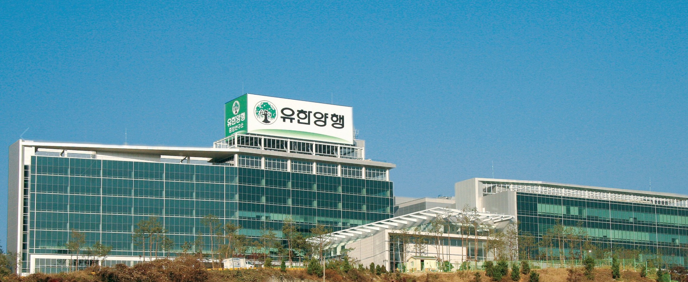 ﻿유한양행, 희귀질환 고셔병치료제 1상 승인