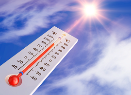 "35℃ 폭염 주말에도 약국 나왔다" 의약품 관리 비상