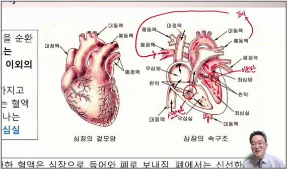 서울시약, 12주 과정 온라인 목요강좌 26일 개설
