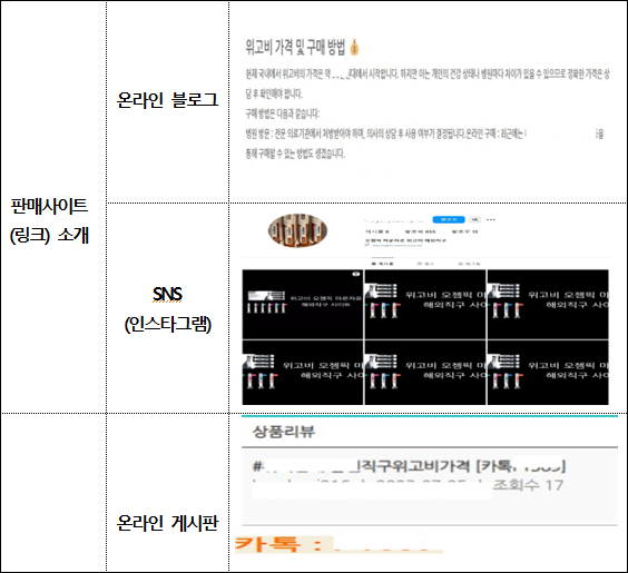'위고비', '삭센다' 등 온라인 불법판매 359건 적발