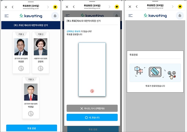 대한약사회장 선거 투표율 30.5%...10일 12시 기준