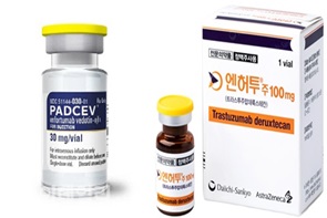 '엔허투 50%↑·파드셉 120%↑'...ADC 신약 동반 강세