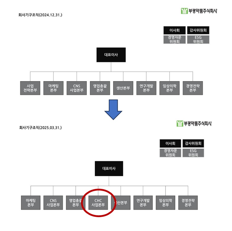 '흑자전환' 부광, 영업·마케팅 조직개편…사업 효율화 제고