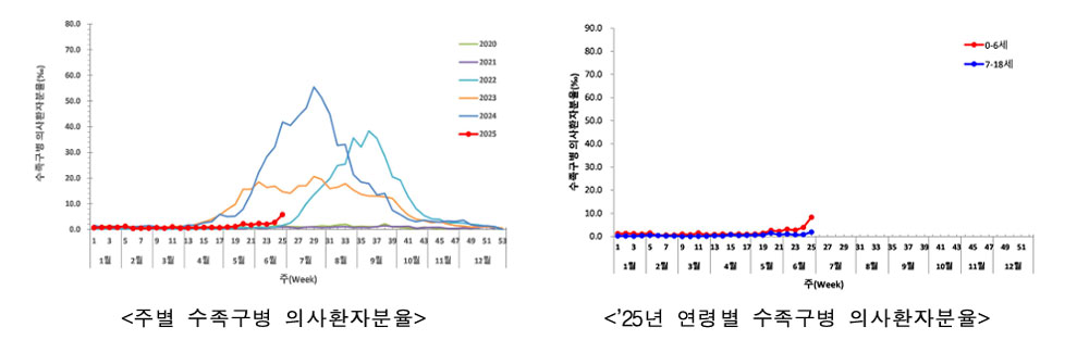 영유아 수족구 유행, 한 달새 3.4배 증가…처방 '껑충'